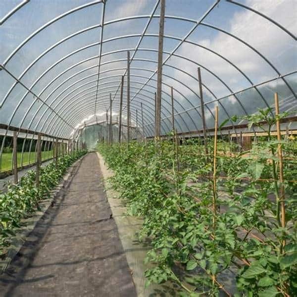 Greenhouse & Agriculture Products